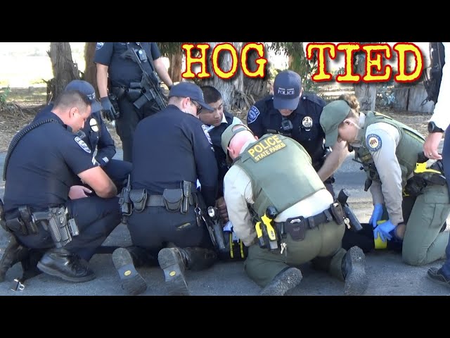 *WILD* SUSPECT GETS HOG-TIED AFTER TRYING TO NEGOTIATE THE CUFFS OFF*