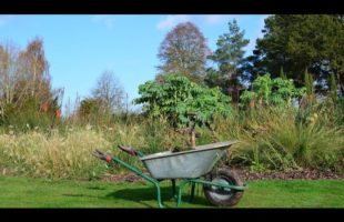 1 Acre Homestead Clean-Up VLOG | Harvest | Lawn Care