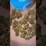 Adven OG Kush Flower (linked video)