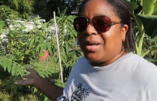 Did You Know You Could Grow Cotton Candy Fruit | Jamaican Cherry