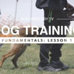 DOG TRAINING FUNDAMENTALS: LESSON 1