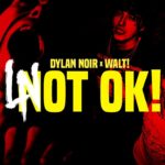 Dylan Noir – Not Ok! ft. WALT! (Official Music Video)