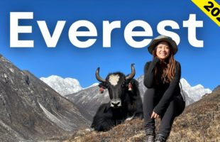 Everest Base Camp Trek | Hiking 130 km in the Himalayas