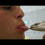 i kissed a lizard and i did some crying too… | Chris Klemens