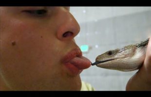 i kissed a lizard and i did some crying too… | Chris Klemens