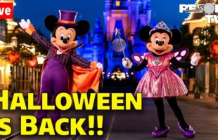 🔴It’s FINALLY BACK!! Mickey’s Not So Scary Halloween Party 2022 – Walt Disney World Live Stream
