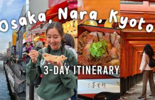 Japan Travel Vlog: best things to do in OSAKA, NARA, and KYOTO 2023