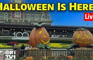 🔴Live: Halloween is Here at Magic Kingdom 2023 – Walt Disney World Live Stream
