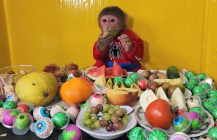 Monkey EM Celebrates 2nd Birthday with Lots of Candies and Fruits