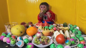 Monkey EM Celebrates 2nd Birthday with Lots of Candies and Fruits