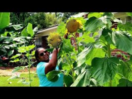 One Acre Homestead VLOG | StoryTime | Garden Clean Up