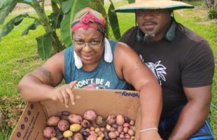 Potato Harvest | 5 Gallon Buckets Our Biggest Harvest | Garden VLOG