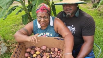 Potato Harvest | 5 Gallon Buckets Our Biggest Harvest | Garden VLOG