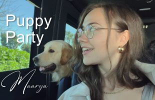 Puppy Birthday Party #Maarya #Vlog #Malibu