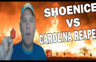 @shoenice22 Carolina Reaper vs Shoenice22