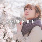 SPRING BLOOM | CINEMATIC VLOG