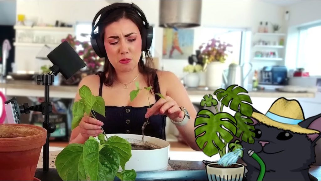 Yabbe does Gardening (Re-Potting Chili Plants) #2