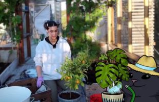 Yabbe tends Greenhouse #2  (Gardening Stream)