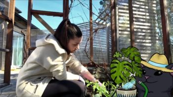 Yabbe tends Greenhouse w/ Nymn (Gardening Stream)
