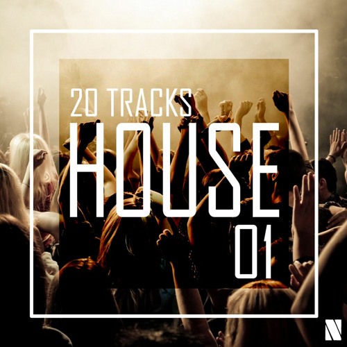20 Tracks House Vol. 1, Mixed by Noctiva