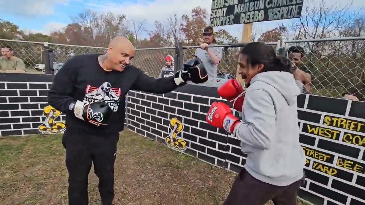 EL MAPACHE, SLIM, CHAOS, LORD BESTEBAN AND MORE SPARRING IN THE YARD!