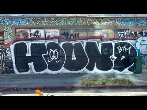 NYC GRAFFITI BOMBER HOUND BTM TCH!