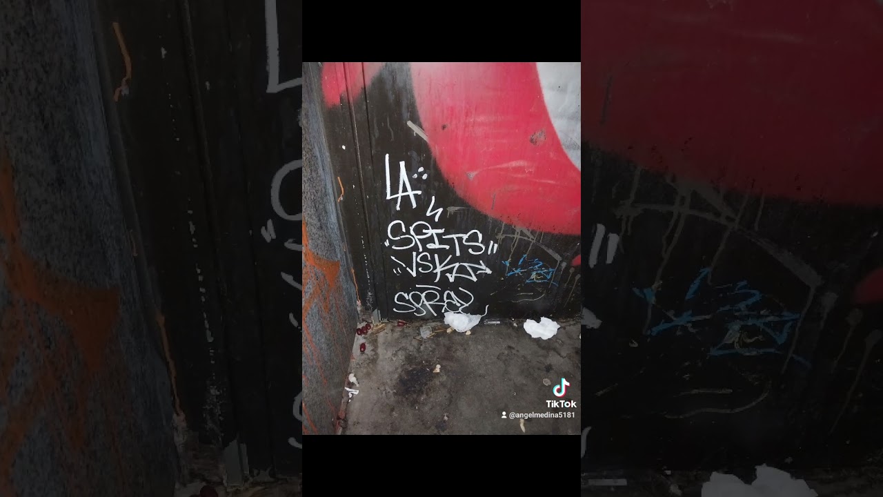 NYC GRAFFITI TAGS 2023! #graffitinyc #nyc #art #graffitilife #nycgraffiti #graff #shorts #tags #420