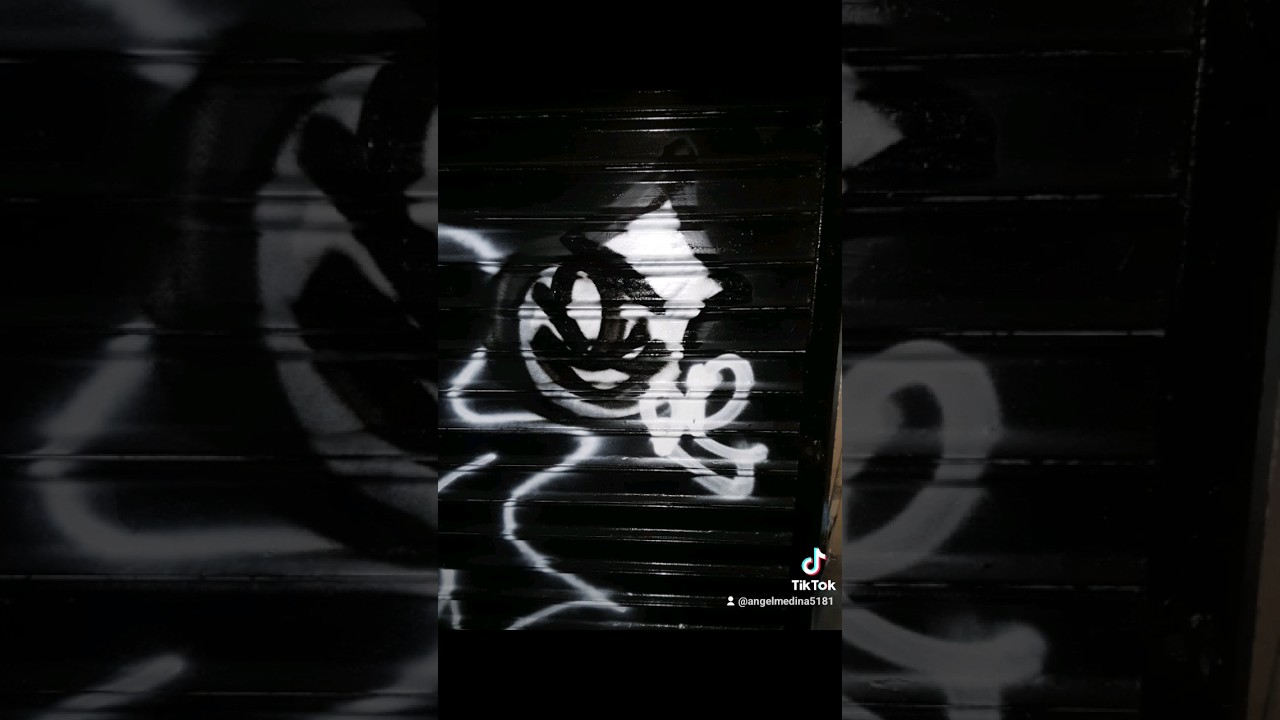 NYC GRAFFITI BOMBER DONER2!#ogbigwicked #realonezapparel #graffitinyc #nyc #d2 #graffiti #short