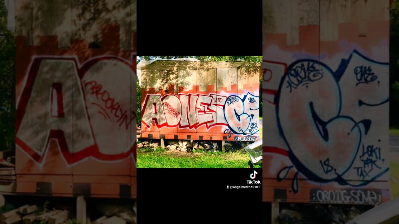 NYC GRAFFITI LEGEND AONES WTO! #fernbirdent #madworld #graffiti #nycgraffiti #aones #nyc #bk #shorts