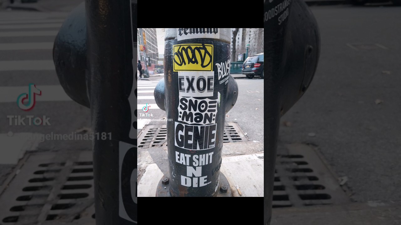 NYC GRAFFITI SLAPS 2023! #graffitinyc #nyc #urbanart #art #dannydiablo #graffiti #slaps #shorts #ink