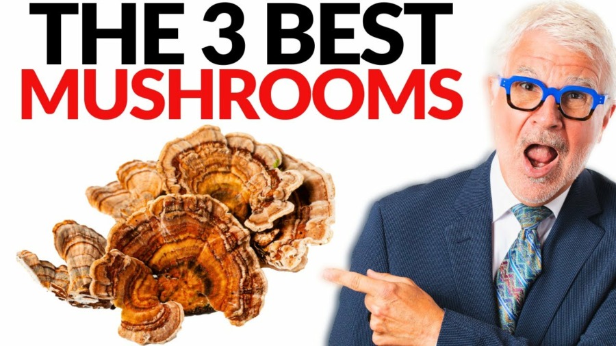 The Best 3 Mushrooms You Need To START EATING! | Dr. Steven Gundry