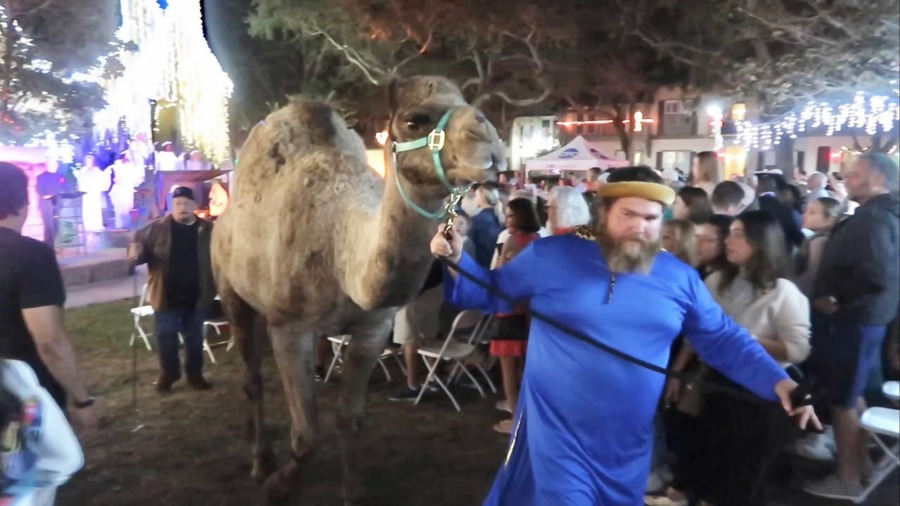 Traffic Nightmare In Celebration For Final Night Of Bethlehem Experience – Live Christmas Nativity