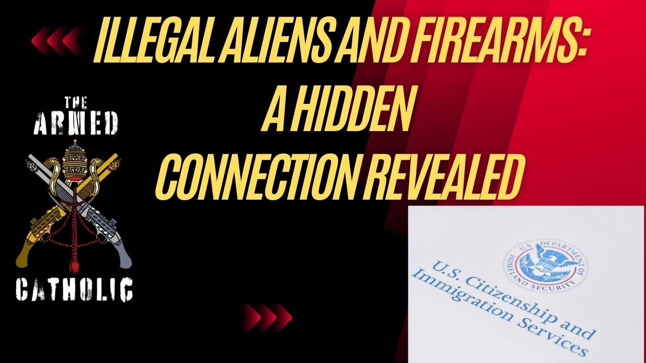 Investigating the Presence of Illegal Aliens in U.S. Firearms Database