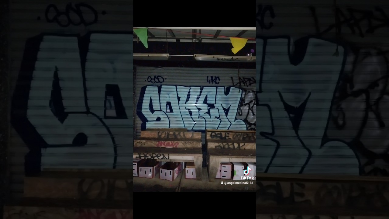 NYC GRAFFITI FILLINS 2024! #graffitinyc #urbanart #graffitialley #graffiti #spraypaint #art #fillin