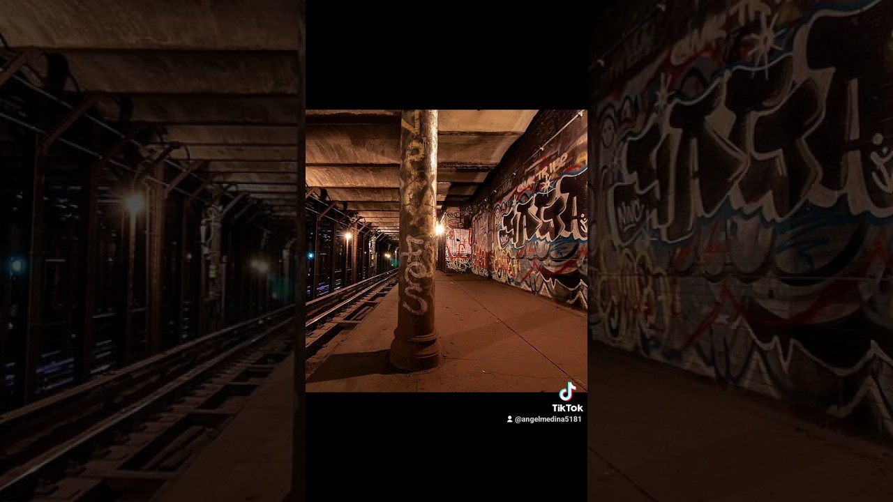 NYC TRAIN TUNNEL GRAFFITI PART 2! #graffitinyc #urbanart #art #nyc #graffiti #subway #shorts #train