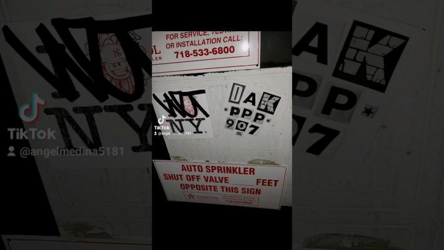 NYC GRAFFITI SLAPS 2024! #graffitinyc #art #urbanart #graffiti #eggshellstickers #stickerslapping