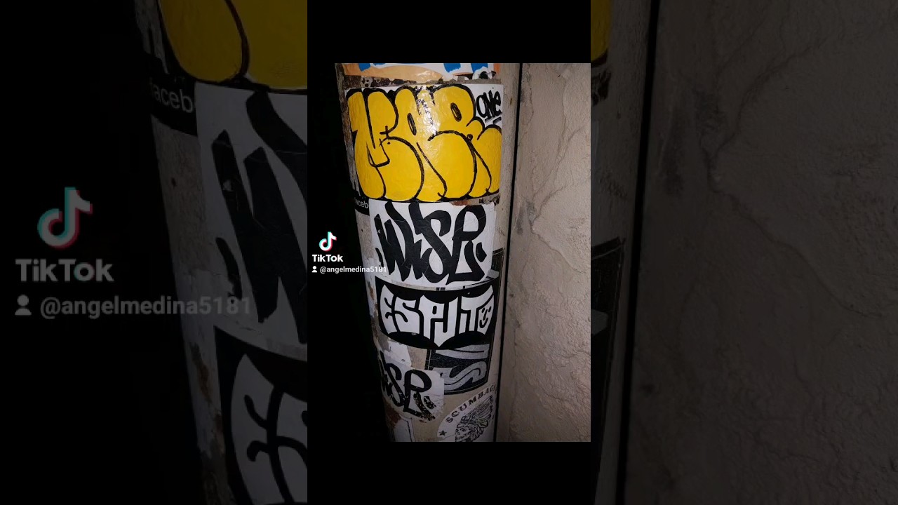 NYC GRAFFITI SLAPS 2024! #graffitinyc #urbanart #art #graffiti #eggshellstickers #stickerart #slaps