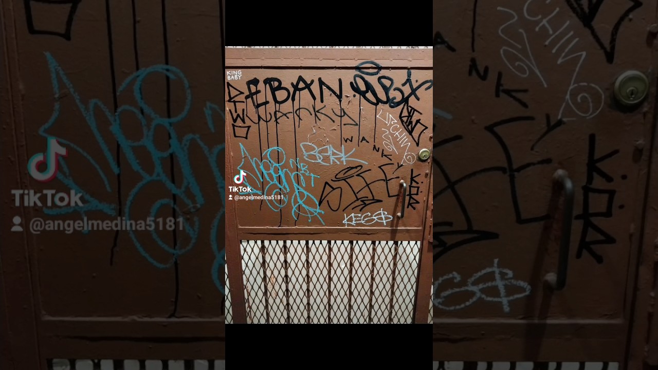 NYC GRAFFITI TAGS 2024! #graffitinyc #urbanart #art #graffiti #spraypaint #paintmarker #tags #nyc