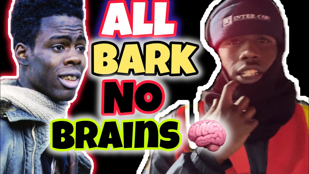 All bark No Brains 🧠