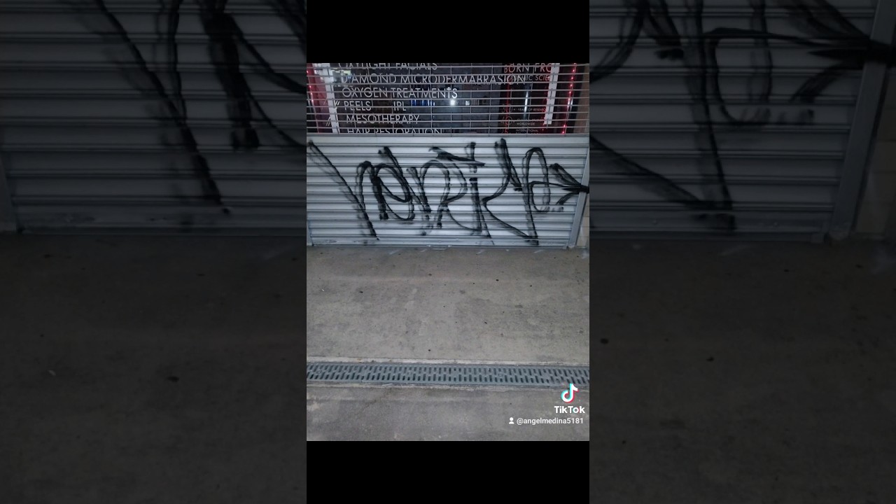 NYC GRAFFITI TAGS 2024! #graffitinyc #art #urbanart #graffiti #spraypaint #paintmarker #nycgraffiti