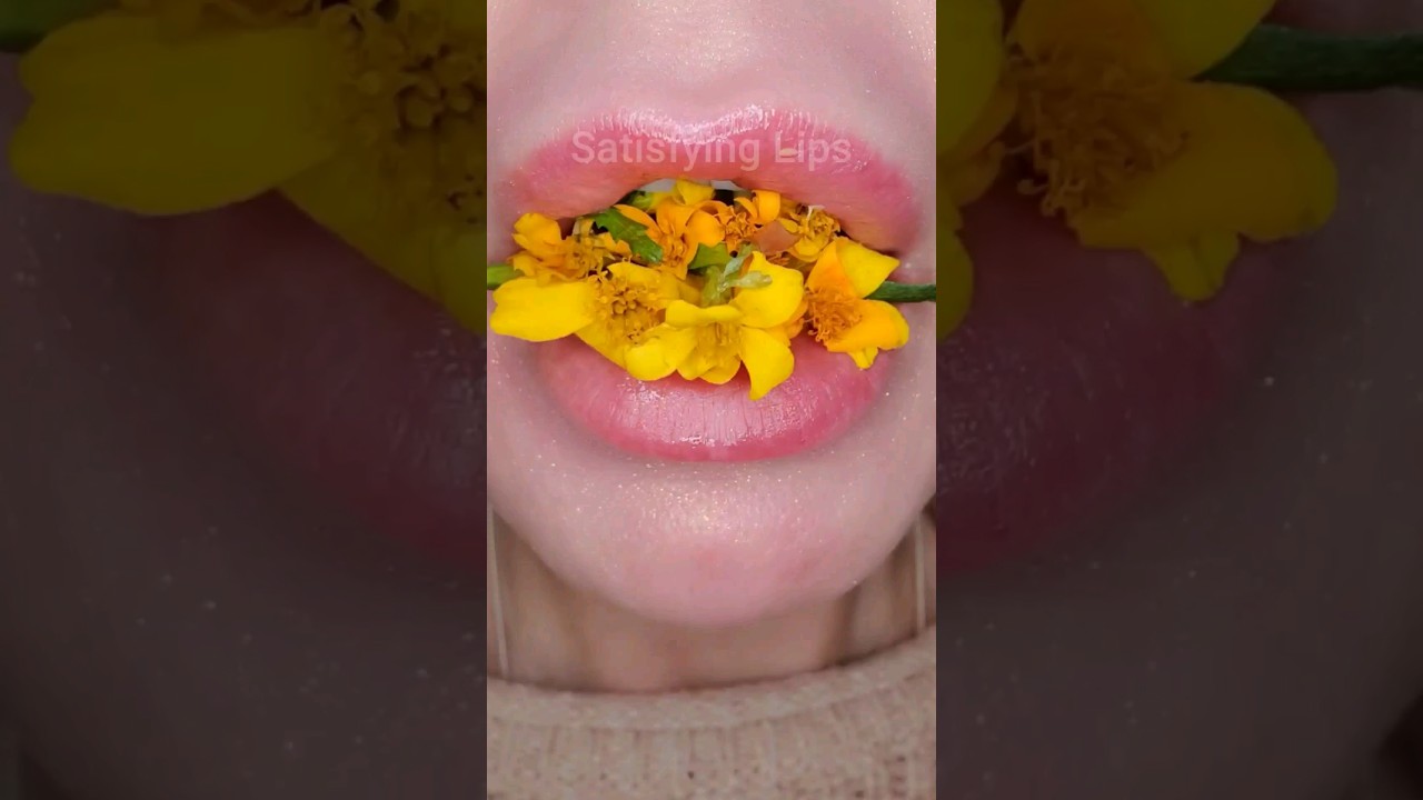 ASMR Satisfying Eating Pretty Yellow Flower 🌼 #asmr #flower #satisfyingvideo