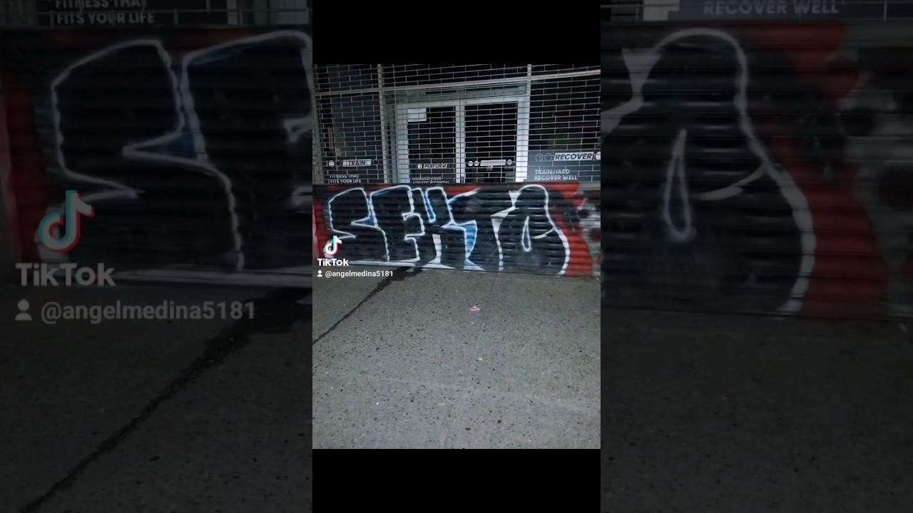 NYC GRAFFITI FILLINS 2024!#ogspanishfly #graffitinyc #graffiti #urbanart #art #nycgraffiti #fillin