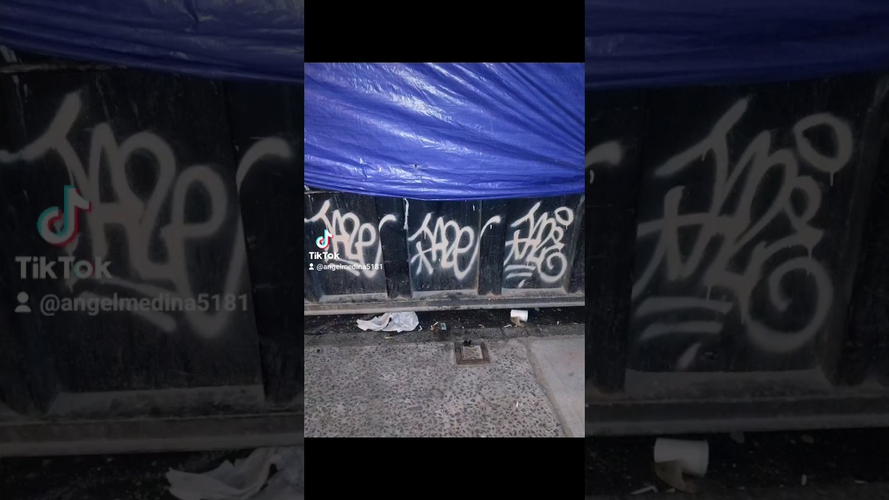 NYC GRAFFITI TAGS 2024! #graffitinyc #graffitiart #urbanart #hiphop #spraypaint #paintmarker #nyc