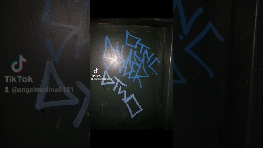 NYC GRAFFITI TAGS 2024! #graffitinyc #mcpeps #brownpride #wilmingtonca #nycgraffiti #spraypaint #nyc