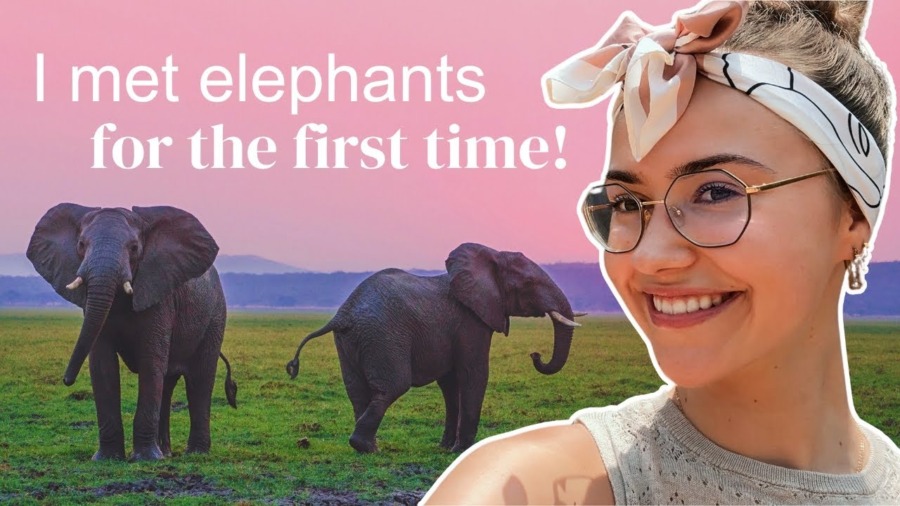 Meeting elephants for the first time! #maarya #vlog #travel