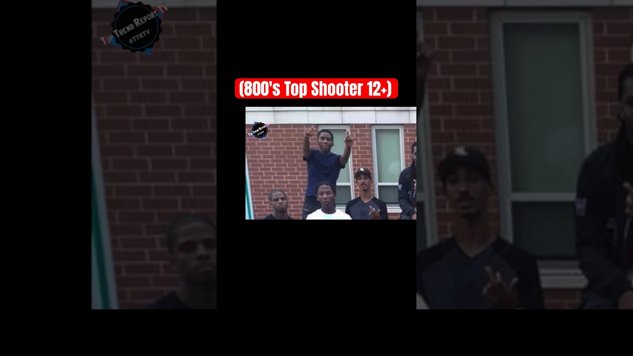 The Criminal History_ Hit List of Lil Fatz (800’s Top Shooter 12+) #chicago