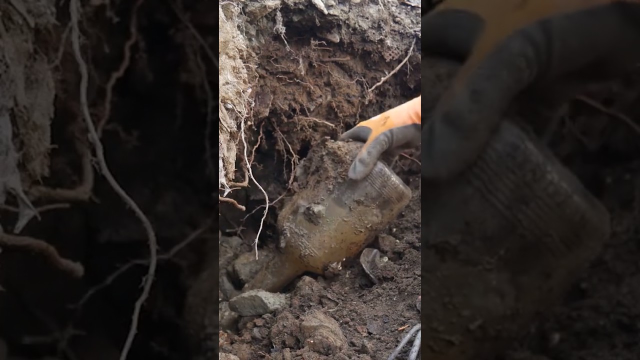 Bottle digging #bottledigging #metaldetecting #treasurehunting #california