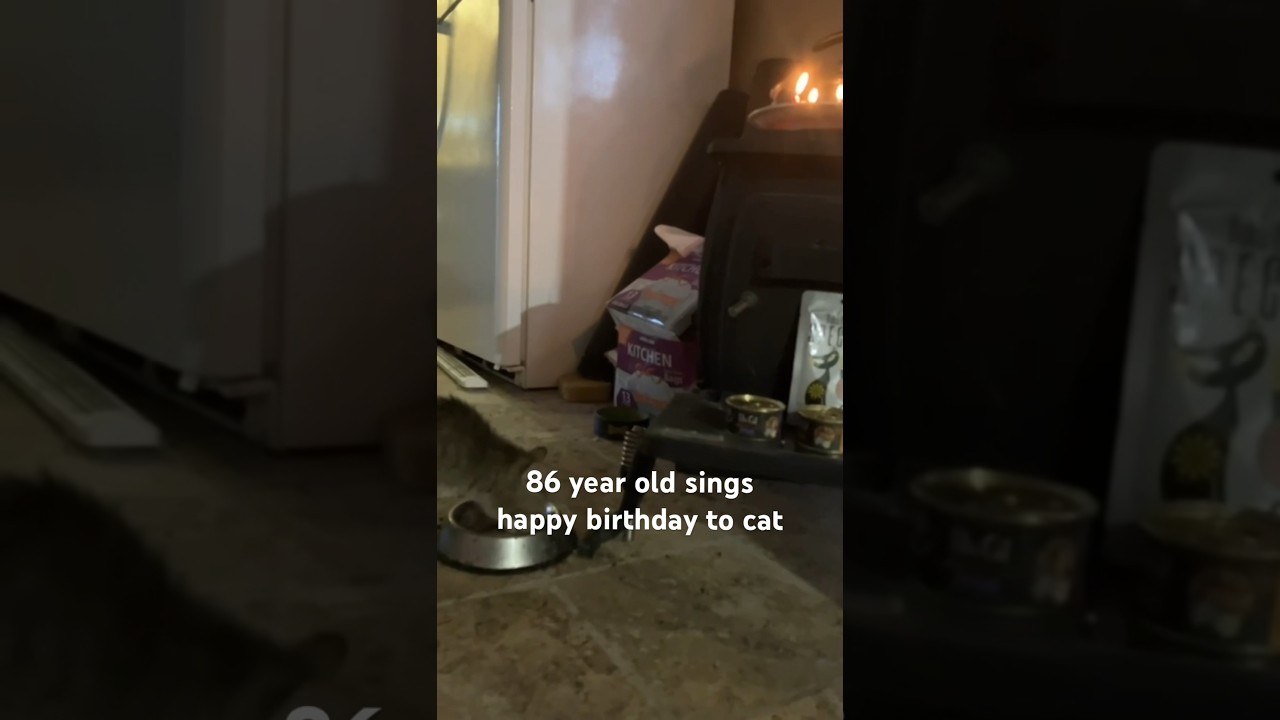 Happy Birthday Nimra – May 24 2019 #cat #cats #catshorts #happybirthday