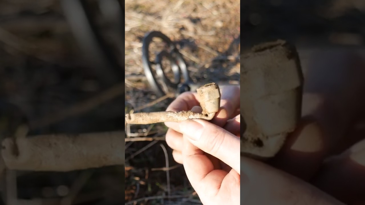 Is that what I think it is? #metaldetecting #california #treasurehunting